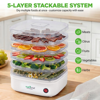 Compact Countertop Food Dehydrator PKFD06
