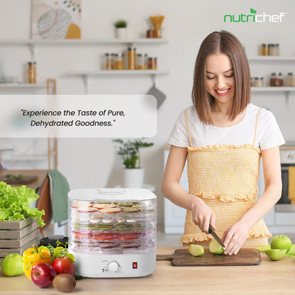 Compact Countertop Food Dehydrator PKFD06